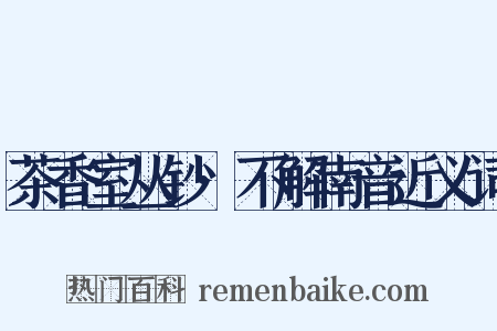 茶香室丛钞·不解南音近义词是什么意思的图片